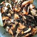 専門学校's cooksnap of when they made ひじきの煮付け（弁当向き）.