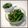 masabagel's cooksnap of when they made お弁当の隙間埋めに♪　甘辛ピーマン.