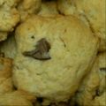 ひまわりmoco's cooksnap of when they made ＨMで作る簡単さつまいもクッキー.