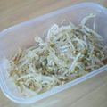 しゅうゆいちゃん's cooksnap of when they made 即効で簡単☆もやしのさっぱり胡麻ナムル.