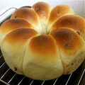 梨大好き's cooksnap of when they made チョコチップちぎりパン.
