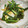 はらぺこ青虫's cooksnap of when they made 小松菜と厚揚げのシンプル中華炒め。.