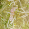 mirch's cooksnap of when they made もやしとハムのスープ風　簡単節約.