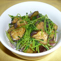 まちぶー's cooksnap of when they made 豆苗となすのオイスターソース炒め.