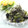 ぽっぽぺぺ's cooksnap of when they made 野菜ソムリエのきゃべつと黒豆の黒ごま和え.