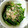 ゆののん☆'s cooksnap of when they made 簡単！春菊とハムのゴマ和え.