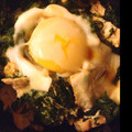 まりなんて's cooksnap of when they made ほうれん草と豚肉のポパイ炒め.