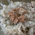 おろくにける's cooksnap of when they made おにぎりの具★シーチキン♪.