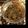 むちmuchiko's cooksnap of when they made ■タプナード ■ＦＰで簡単■混ぜるだけ■.