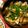 hawaiisunny's cooksnap of when they made タイ風ムール貝.
