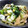 すゝ゛か's cooksnap of when they made 白もつと玉葱ともやしとニラのにんにく炒め.