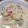 ＬＴＪ's cooksnap of when they made 簡単＊白菜とろとろシチュー.