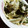 タンサンタンサン's cooksnap of when they made [簡単]白菜と春菊の湯引きごまポン和え.