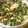 marilin36's cooksnap of when they made ご飯のお供に☆大根の葉と鮭の炒め物.