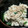 ゆうきいた's cooksnap of when they made ほうれん草の白和え.