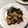 たんぽっぽ畑's cooksnap of when they made ネギとカジキの味噌照り.