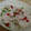 manakao's cooksnap of when they made さっぱり☆梅しば漬ごはん.