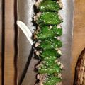 ちび龍mama's cooksnap of when they made 鯵の梅しそ焼き.