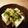 かよひこ's cooksnap of when they made みょうがで付け合せ.