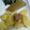 きらり流れ星's cooksnap of when they made じっくりことことおでんの大根.