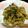 ゆうううきちゃん's cooksnap of when they made アオサ海苔大好き！和風パスタ！.