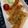 cookamiami's cooksnap of when they made 油揚げのみそ焼き.