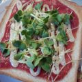 ﾅｼｴﾓﾝ's cooksnap of when they made ✰カイワレのピザ風トースト✰.