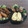 churara_nt's cooksnap of when they made 爪楊枝不要！のり巻きえのきベーコン.