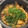 まいひら's cooksnap of when they made しっかり味♪鶏とごぼうの炊き込みご飯♡.