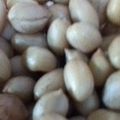 珍味佳肴's cooksnap of when they made から無しピーナツの塩ゆで.