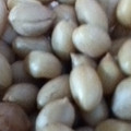 珍味佳肴's cooksnap of when they made から無しピーナツの塩ゆで.