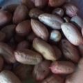 珍味佳肴's cooksnap of when they made 独身男の炒りピーナッツ.