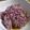 めがぴー's cooksnap of when they made 食用菊のからし醤油あえ.