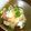 リズリズリズム's cooksnap of when they made おうち居酒屋★コリコリ砂肝のおろしぽん.