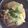 シェメ's cooksnap of when they made 大根と豚肉と卵の味噌煮.