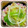kiiyno's cooksnap of when they made 簡単3分で！お弁当に♪もやしのおひたし.