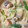 24nishi24's cooksnap of when they made ほかほか☆鮭と白菜のクリーム煮.