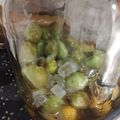 けんけんち's cooksnap of when they made 梅シロップ.