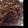 happycolor's cooksnap of when they made 簡単♪つゆだく牛丼～★.