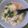 もじやん's cooksnap of when they made セロリの葉っぱのスープ.