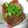 colattta's cooksnap of when they made とろとろ～　豚の角煮.