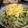 soutan222's cooksnap of when they made 定番七福なます.
