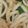 きらり流れ星's cooksnap of when they made 昆布茶で焼きうどん.