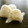 ゆめきっちん's cooksnap of when they made ＊天かすとネギのたぬきおにぎり＊.