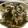 Satoco❋'s cooksnap of when they made ひじきとささみのサラダ☆ごまマヨネーズ.