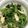 A‐sa＊'s cooksnap of when they made おつまみに最適‼わさび正油の海苔和え.