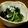 あいぱらりん's cooksnap of when they made 簡単！菊菜（春菊）のめんつゆマヨ和え☆.