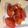じぇんたん's cooksnap of when they made あっという間のトマトサラダ.