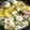 dtjdx206's cooksnap of when they made エノキと魚介のアヒージョ.