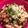 chimomomil's cooksnap of when they made なめこ・モッツァ・鮭フレの卵あんかけ丼.